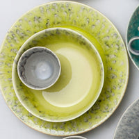 Conjunto de 6 pratos de sopa Coral